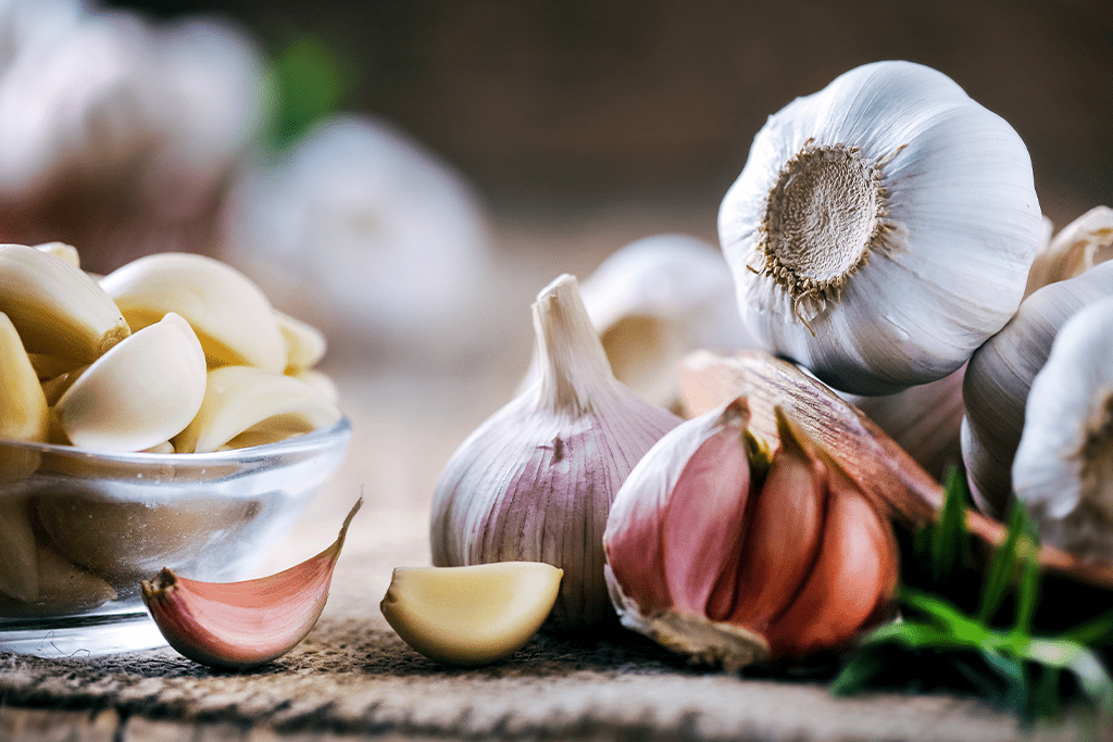 How to Grow Garlic in the Garden, Platt Hill Nursery