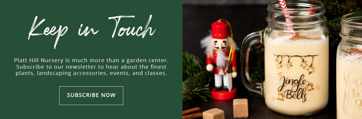 eggnog drinks - newsletter subscribe button - Platt Hill Nursery-Chicago