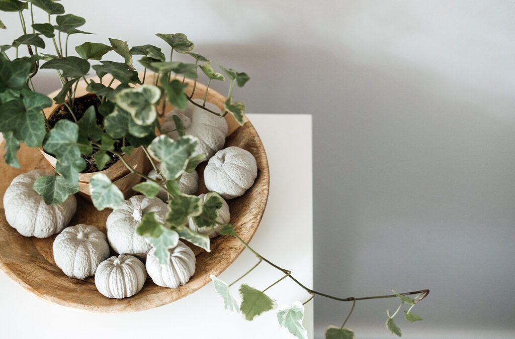 Houseplant Decorating Tips for the Holiday Season