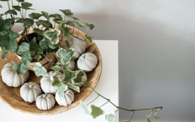 Houseplant Decorating Tips for the Holiday Season
