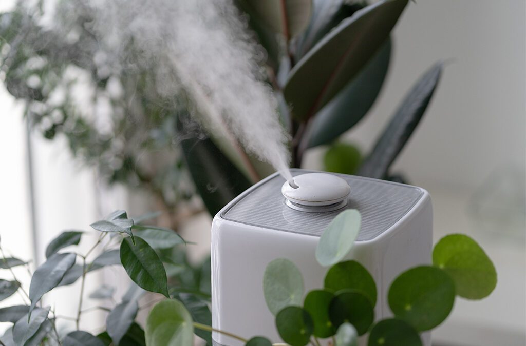 How to Boost Humidity for Indoor Plants During Chicago Winters