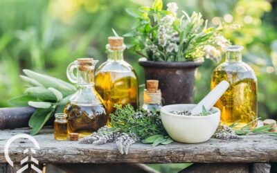 The Best Houseplants and Herbs for Aromatherapy