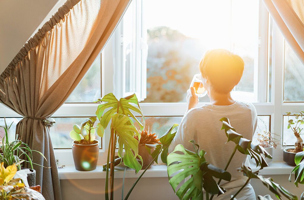 Houseplants to Help You Get Through Winter