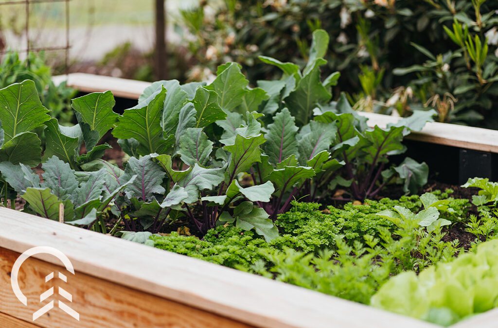 Early Bird Series: Start Mapping Your Raised Garden Beds Now for an Easy Spring