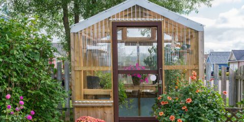 Design a Backyard Greenhouse to Extend Your Growing Season