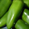 Jalapeno Pepper