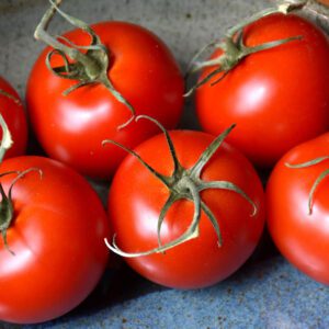 https://platthillnursery.com/wp-content/uploads/2023/03/Patio-Tomato-Platt-Hill-Nursery-Chicago-1000x1000-1-300x300.jpg