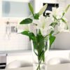 Easter Lily 6 inch Pot - Image 3
