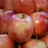 Royal Gala Apple - Image 2
