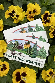 Platt Hill Nursery Online Gift Card Link