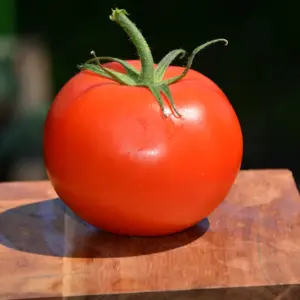 Marglobe single Tomato