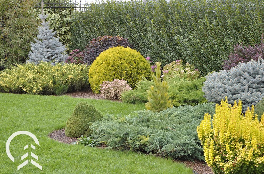 assorted shrubs in backyard-Platt Hill Nursery-Chicago