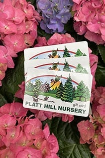 Platt Hill Nursery Gift crds available online