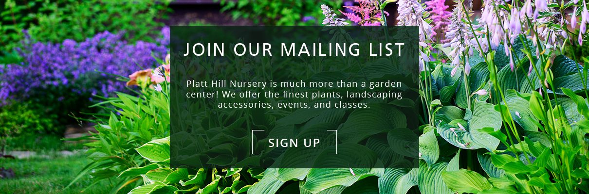 Platt Hill Nursery-Chicago-mailing list sign up