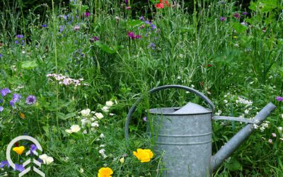Sustainable Garden Ideas for a More Eco-Friendly Space