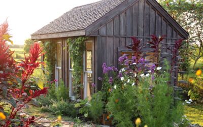 Grandma’s Garden: How to Recreate a Timeless Garden in Chicagoland and Rockford