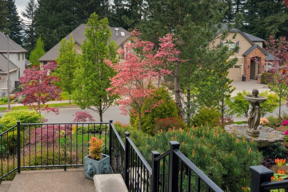 Tree Collection Platt Hill Nursery