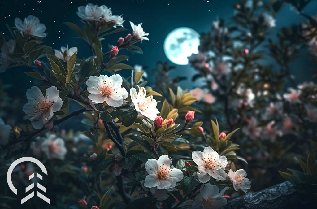 How to Cultivate a Moon Garden