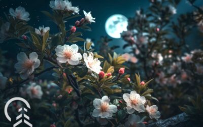 How to Cultivate a Moon Garden