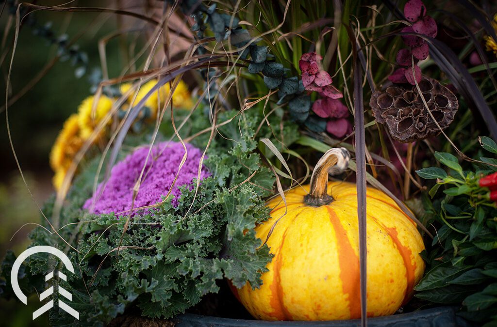autumn porch pot -Platt Hill Nursery-Chicago