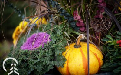 Our Favorite Fall Flowers for Porch Planters