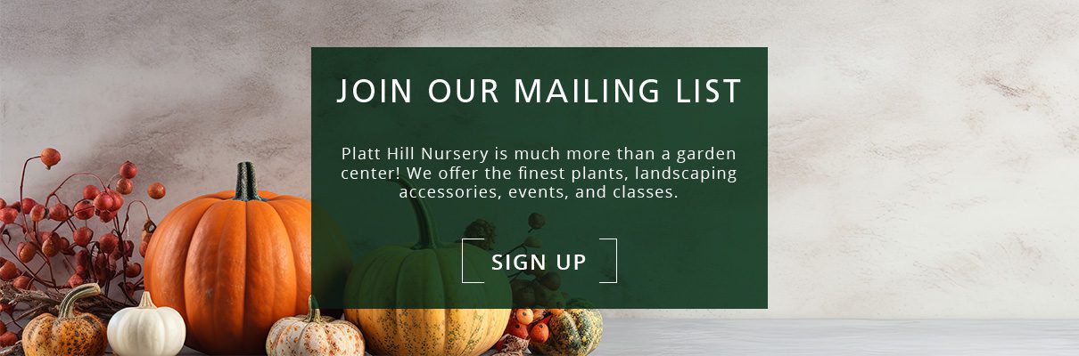 autumn decor-newsletter subscribe button- Platt Hill Nursery- Chicago