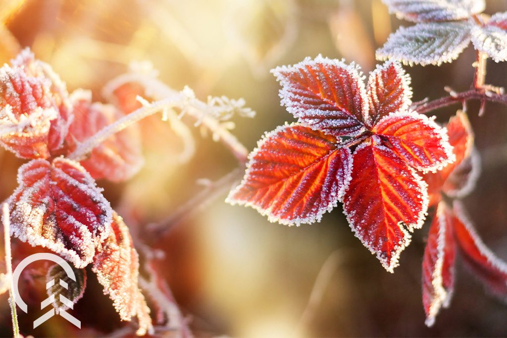 Keeping Food Cold, Illinois Extension