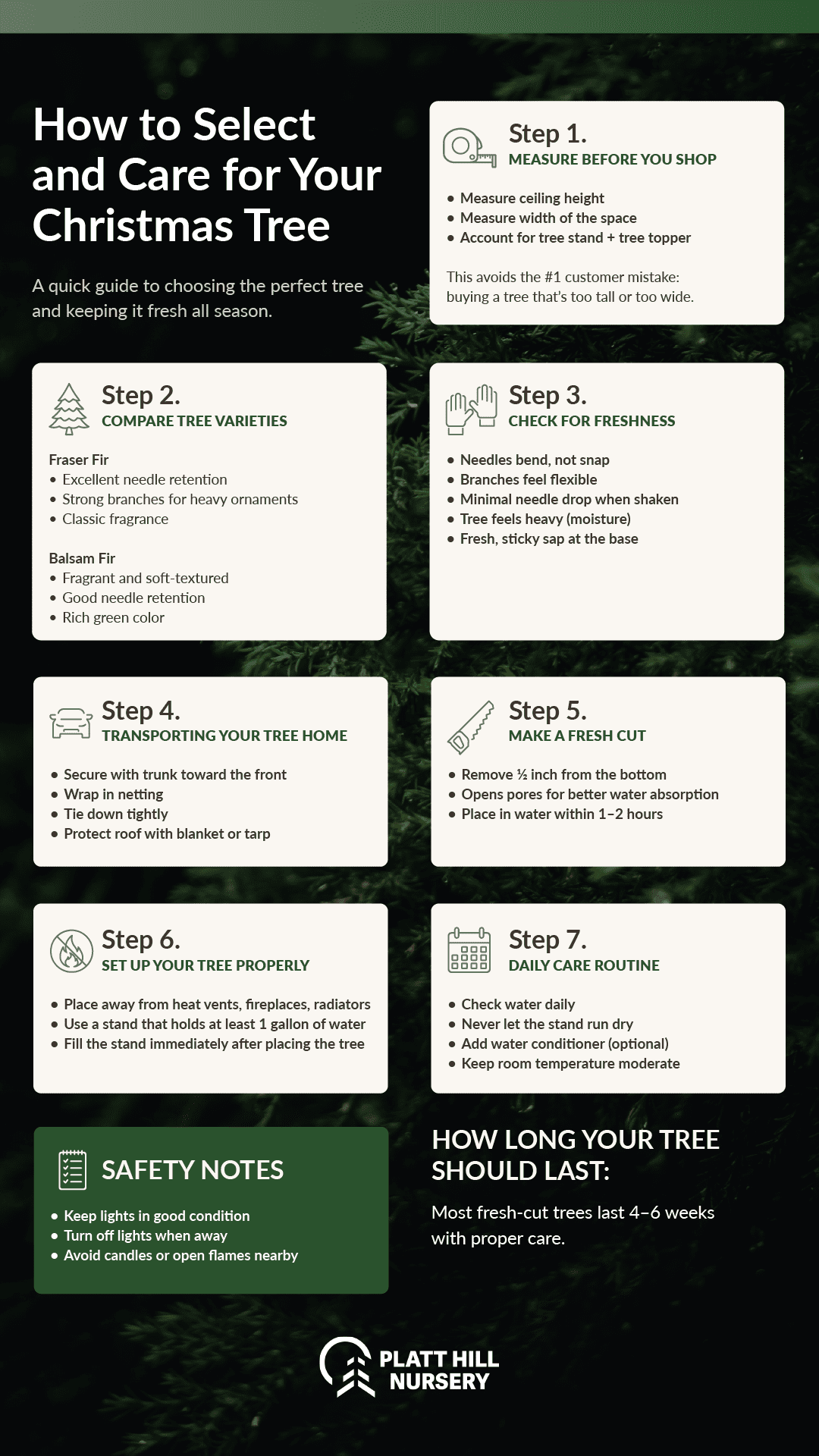 seven steps to caring for your christmas tree