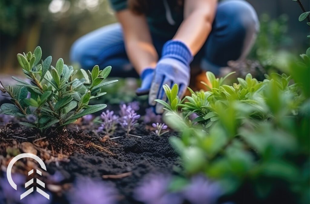 12 Gardening Resolutions for a New Year of Growth