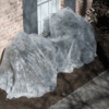 PLANT PROTECTORS - Image 2