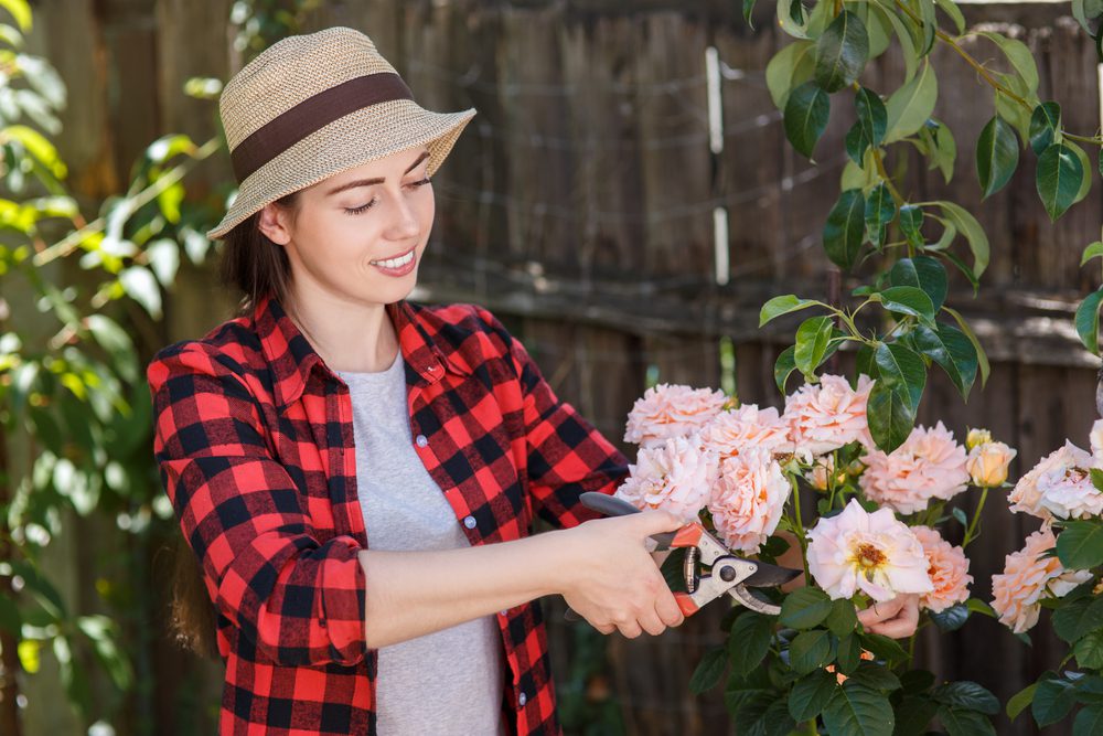 woman pruning flower heads in her back garden for spring planting