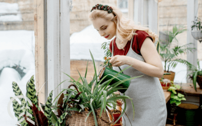 Indoor Winter Gardening for Beginners
