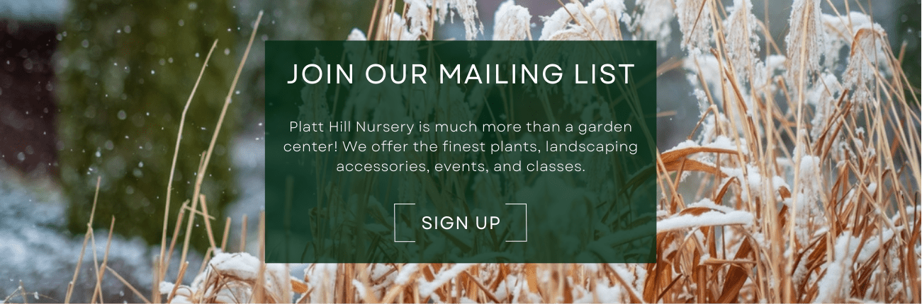 Platt Hill Nursery is much more than a garden center! We offer the finest plants, landscaping accessories, events, and classes.