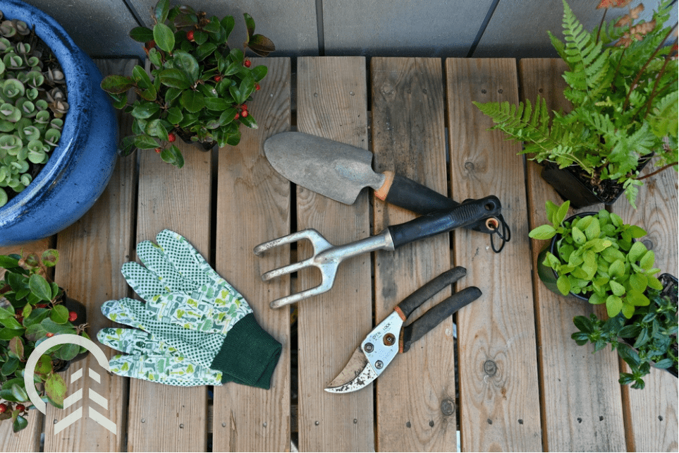 garden tools on a deck with gloves and plants