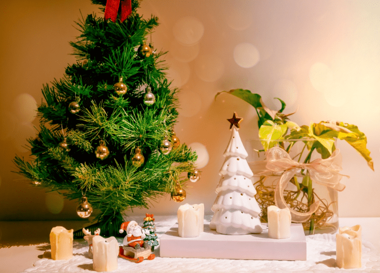 festive indoor christmas display with plants