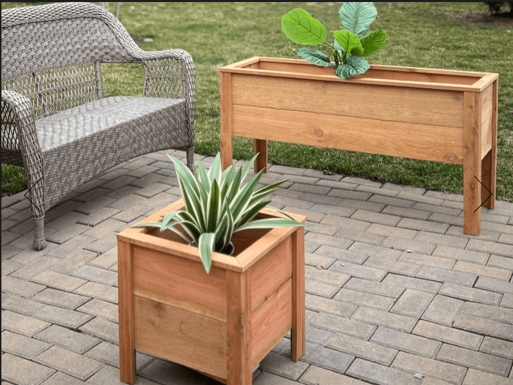 raised garden beds