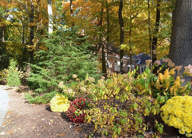 landscaping near Carpentersville