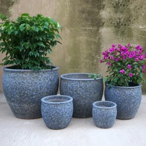 Genoa Blue Pottery