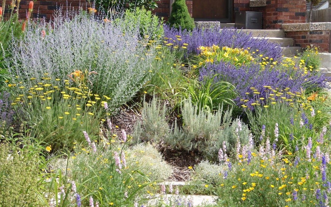 How to Start a Pollinator Garden