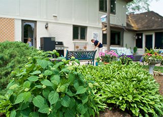 Platt Hill 2025 Mattingly - 28 Hydrangea and hosta in backyeard