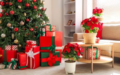 How to Keep Your Christmas Plants & Greenery Fresh