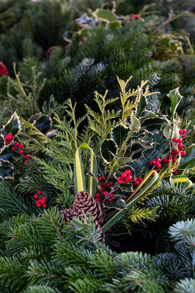 Fresh cut tree boughs made into a Christmas wreath for sale, evergreen branches, fir, pine, spruce, holly, and cyprus make a beautiful decorative display