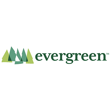 Evergreen Logo 375 Sonic Green Hill Zone Display