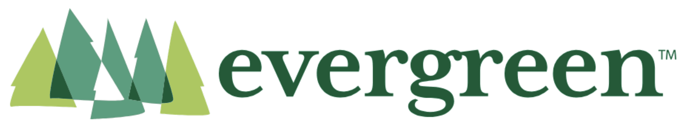 Sonic Green Hill Zone Display