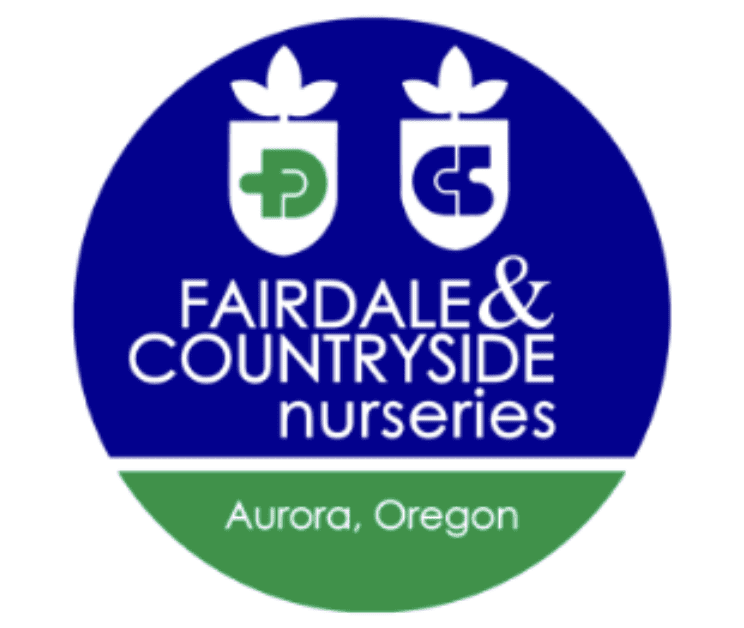 Spring Show theme carnival