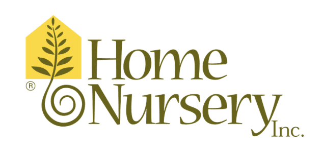 Sonic Green Hill Zone Display