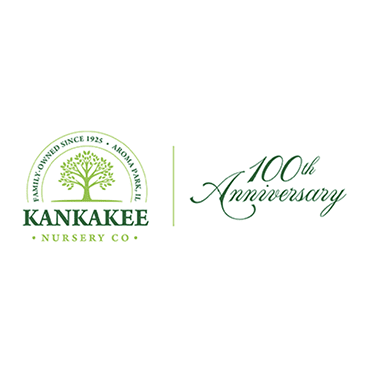 Kankakee Nursery Logo 375 Sonic Green Hill Zone Display