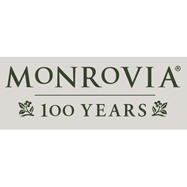 Monrovia Logo 375 Spring Show theme carnival