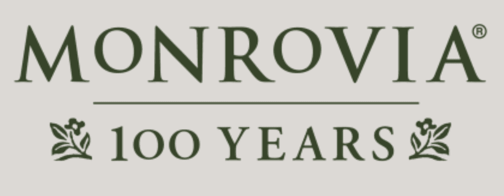 Spring Show theme carnival