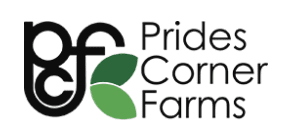 Sonic Green Hill Zone Display